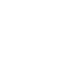X (Twitter)